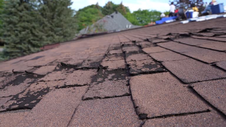 Best Roof Leak Repair  in Portland, TN