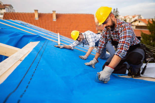 Best Roof Moss and Algae Removal  in Portland, TN